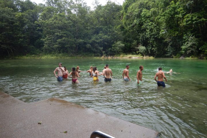 a group of people swimming in a body of water