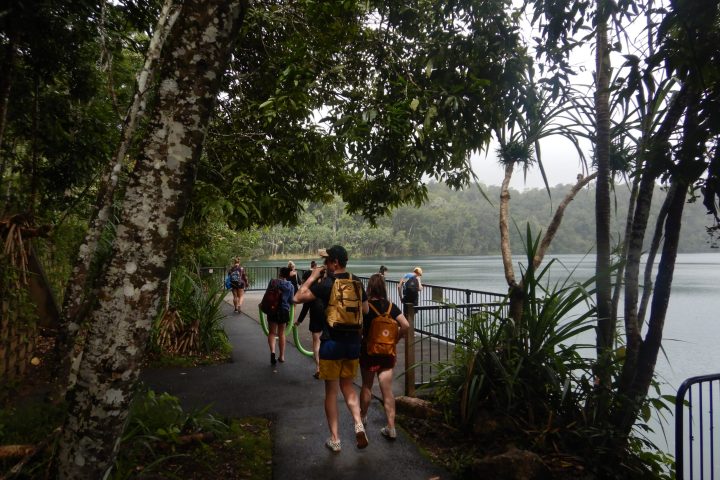 a person standing next to a tree