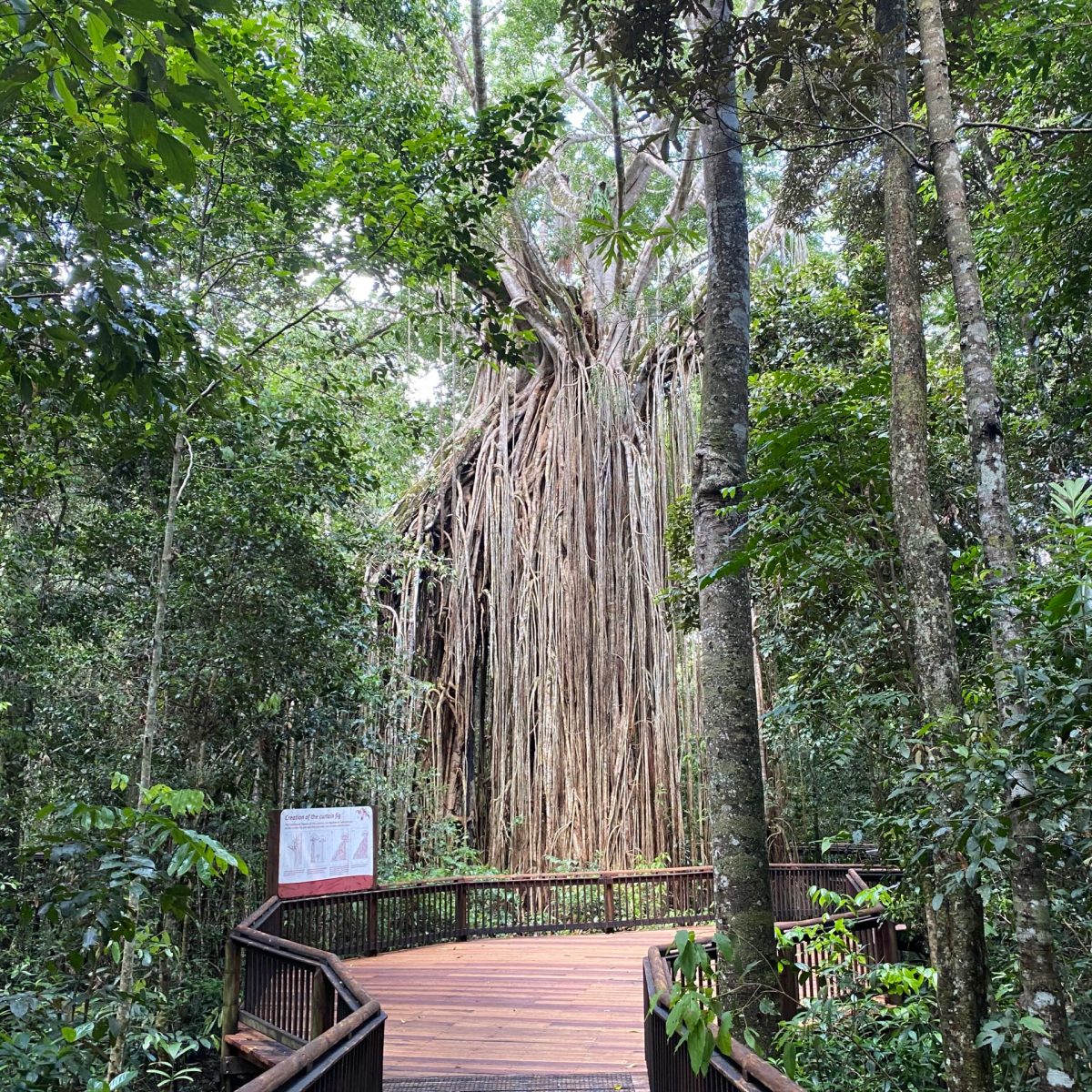 Barefoot Tours, Cairns, Australia | Things to do in Cairns