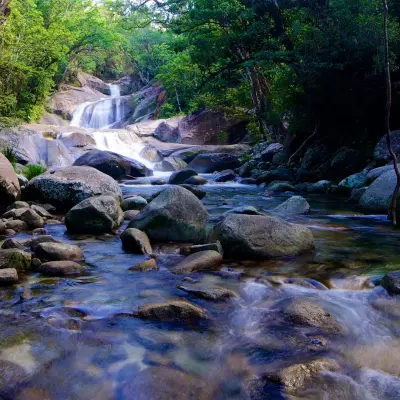 a waterfall surrounded by trees