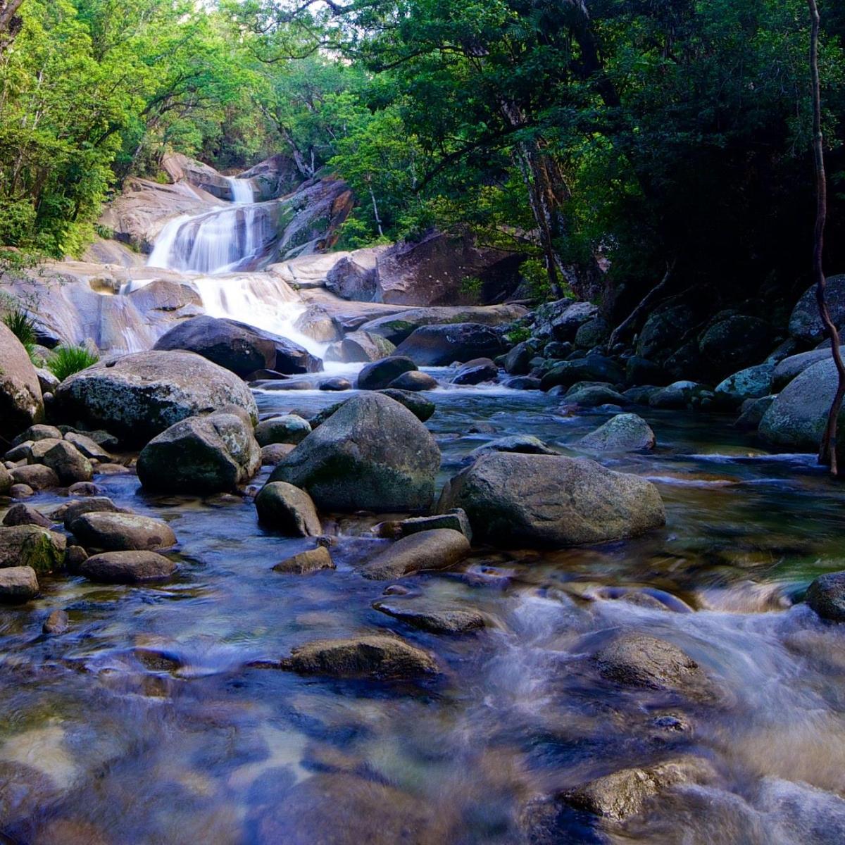 a waterfall surrounded by trees