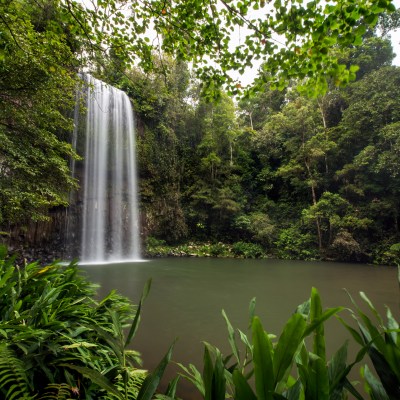 a waterfall surrounded by trees
