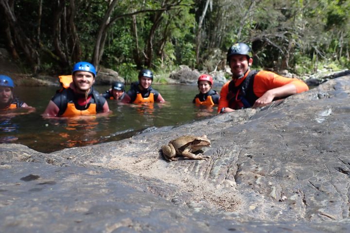 a group of people riding skis down a river
