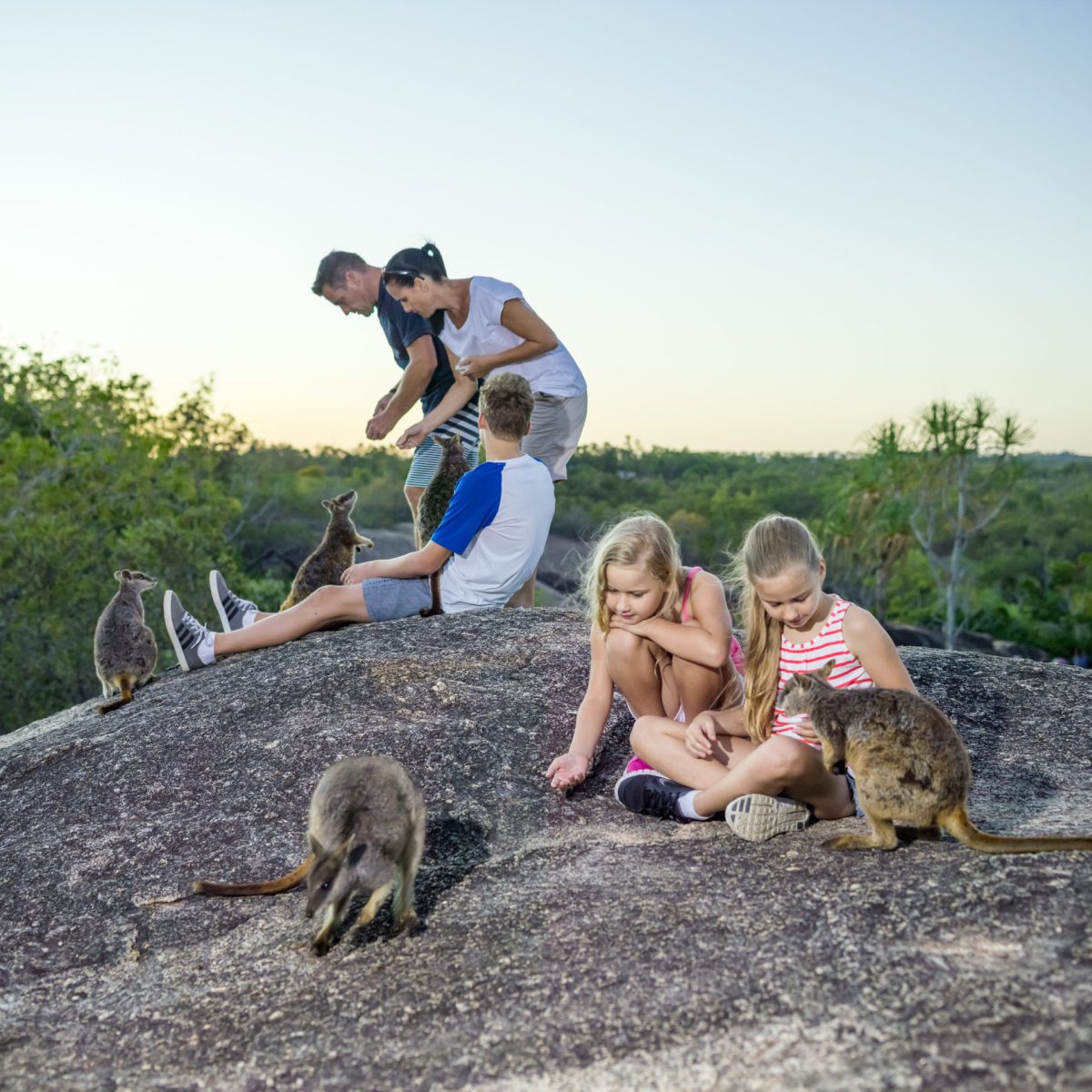 Photos curtesy of Tourism Tropical North Queensland